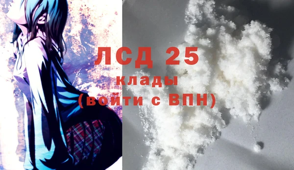 ГАЛЛЮЦИНОГЕННЫЕ ГРИБЫ Абаза