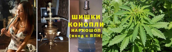 ГАЛЛЮЦИНОГЕННЫЕ ГРИБЫ Абаза