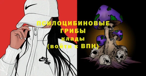 гашик Абдулино
