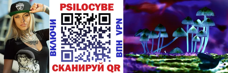 Галлюциногенные грибы Psilocybe  хочу наркоту  Кизляр 