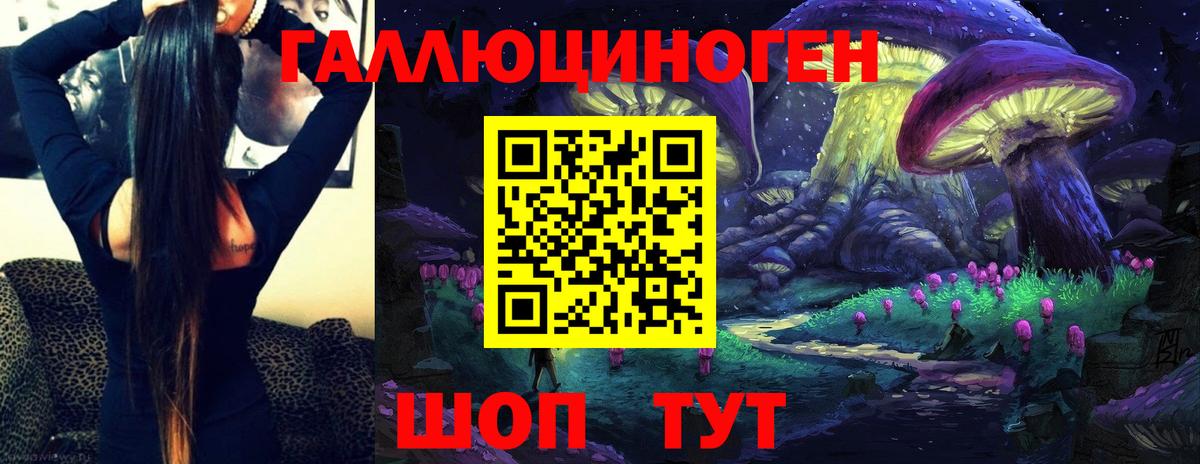 купить наркотик  Псилоцибиновые грибы прущие грибы  Вход с VPN  Кизляр  Галлюциногенные грибы мицелий 